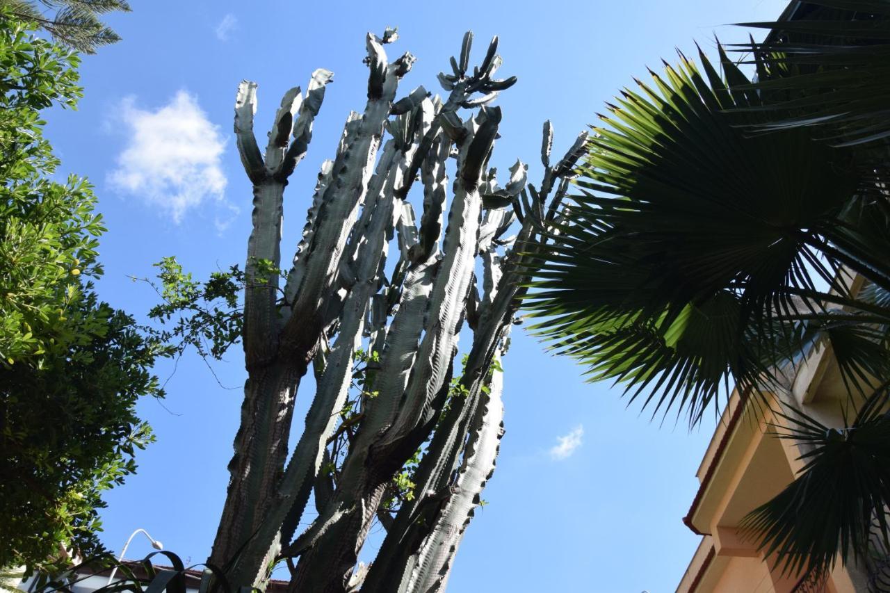 Artroom Garden Noto Bagian luar foto