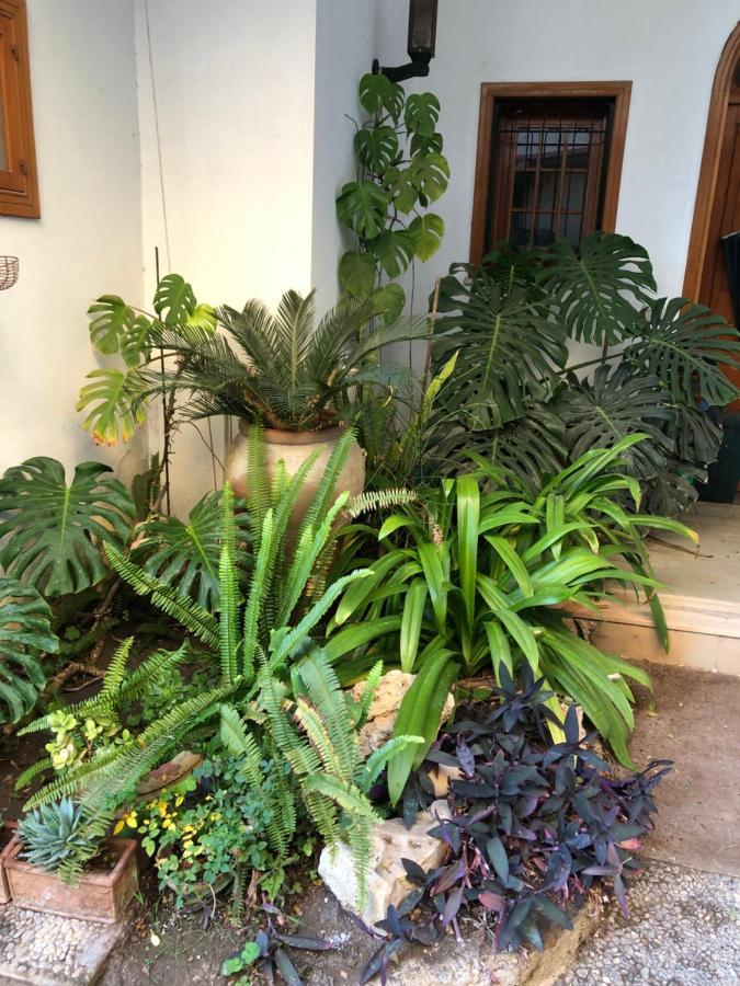 Artroom Garden Noto Bagian luar foto