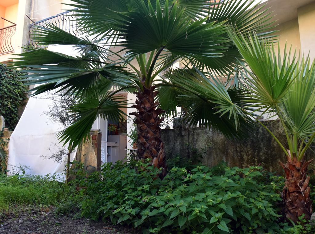 Artroom Garden Noto Bagian luar foto